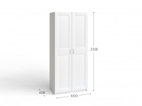 2.06.01.050.4 МАКС шкаф 2 двери 100х61х233 серый RU в Нытве - nytva.ok-mebel.com | фото 4