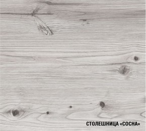 АСАЯ Кухонный гарнитур Экстра 2 (3000 мм) ПМ в Нытве - nytva.ok-mebel.com | фото 8