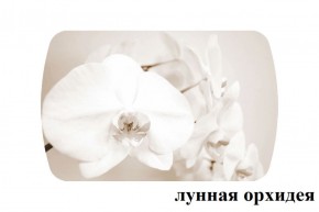 БОСТОН - 2 опоры Триумф в Нытве - nytva.ok-mebel.com | фото 18