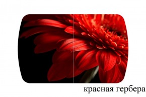 БОСТОН - 2 опоры Триумф в Нытве - nytva.ok-mebel.com | фото 50