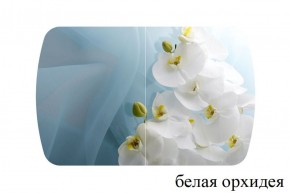 БОСТОН - 2 опоры Триумф в Нытве - nytva.ok-mebel.com | фото 52