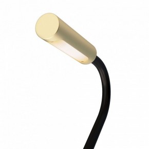 Бра Maytoni Stem C035WL-L3MG3K в Нытве - nytva.ok-mebel.com | фото 6