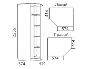 Детская Фанк Шкаф угловой Левый/Правый НМ 013.04-02 М в Нытве - nytva.ok-mebel.com | фото 3