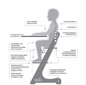 Детский растущий стул Конёк Горбунёк Комфорт (Лофт-1) в Нытве - nytva.ok-mebel.com | фото 2
