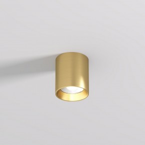DK2610-SB Накладной светильник SHINE TUBE со светодиодом, D70*H80, IP20, 3000К, 10W, RA?90, сатинированная латунь, алюминий в Нытве - nytva.ok-mebel.com | фото