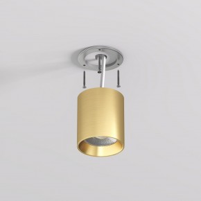 DK2610-SB Накладной светильник SHINE TUBE со светодиодом, D70*H80, IP20, 3000К, 10W, RA?90, сатинированная латунь, алюминий в Нытве - nytva.ok-mebel.com | фото 3
