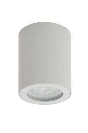 DK3007-WH Накладной светильник влагозащ., IP 44, 15 Вт, GU10, белый, алюминий в Нытве - nytva.ok-mebel.com | фото