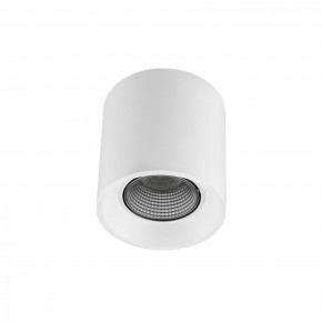 DK3090-WH+CH Светильник накладной IP 20, 10 Вт, GU5.3, LED, белый/хром, пластик в Нытве - nytva.ok-mebel.com | фото