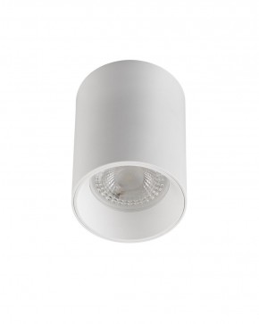 DK3110-WH Светильник накладной IP 20, 10 Вт, GU5.3, LED, белый, пластик в Нытве - nytva.ok-mebel.com | фото