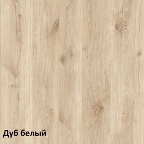 Эйп Шкаф комбинированный 13.14 в Нытве - nytva.ok-mebel.com | фото 4