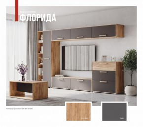 ФЛОРИДА Гостиная (модульная) дуб золотой/графит в Нытве - nytva.ok-mebel.com | фото