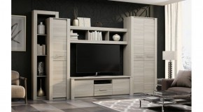 ЭЛИС Гостиная в Нытве - nytva.ok-mebel.com | фото 2