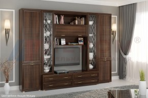 Гостиная Карина Композиция 19 (Акация Молдау) в Нытве - nytva.ok-mebel.com | фото 5