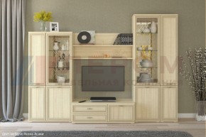 Гостиная Карина Композиция 24 (Ясень Асахи) в Нытве - nytva.ok-mebel.com | фото