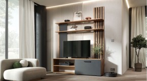 КАРОЛИНА Гостиная в Нытве - nytva.ok-mebel.com | фото