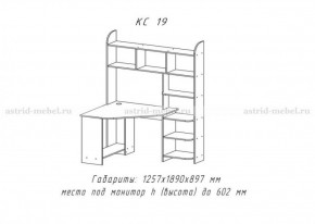 Компьютерный стол №19 (Анкор темный) в Нытве - nytva.ok-mebel.com | фото 3