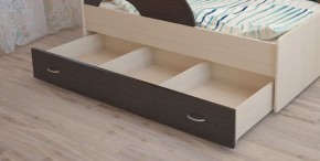 Кровать выкатная Радуга (Матрешка) 800*1600/1650 в Нытве - nytva.ok-mebel.com | фото 9