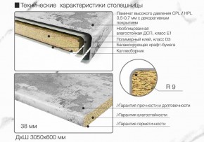 Кухонный фартук со столешницей (А-01) в едином стиле (3050 мм) в Нытве - nytva.ok-mebel.com | фото 6