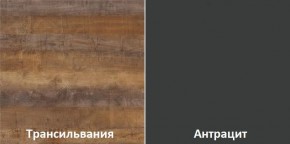 Кухонный гарнитур угловой Трансильвания 2400x1600 мм (Стол. 38 мм) Антрацит/Трансильвания в Нытве - nytva.ok-mebel.com | фото 3