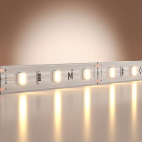Лента светодиодная Maytoni Base 201162 в Нытве - nytva.ok-mebel.com | фото