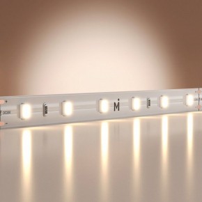 Лента светодиодная Maytoni Base 201166 в Нытве - nytva.ok-mebel.com | фото