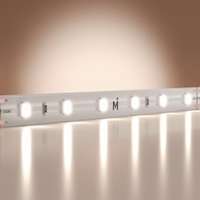 Лента светодиодная Maytoni Base 201167 в Нытве - nytva.ok-mebel.com | фото