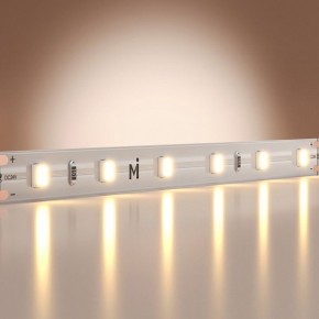 Лента светодиодная Maytoni Base 201177 в Нытве - nytva.ok-mebel.com | фото