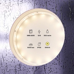 Лента светодиодная Maytoni Led strip 10105 в Нытве - nytva.ok-mebel.com | фото 2