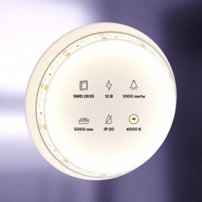 Лента светодиодная Maytoni Led strip 10109 в Нытве - nytva.ok-mebel.com | фото 2