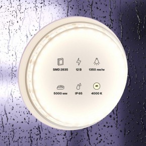 Лента светодиодная Maytoni Led strip 10118 в Нытве - nytva.ok-mebel.com | фото 2
