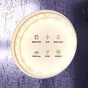 Лента светодиодная Maytoni Led strip 10131 в Нытве - nytva.ok-mebel.com | фото 2