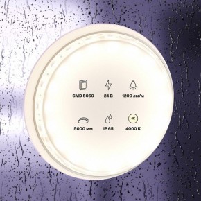 Лента светодиодная Maytoni Led strip 10172 в Нытве - nytva.ok-mebel.com | фото 2