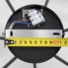 Люстра на штанге Citilux Стивен CL141271 в Нытве - nytva.ok-mebel.com | фото 13