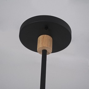 Люстра на штанге Imperiumloft TURNA Black TURNA-DBL01 в Нытве - nytva.ok-mebel.com | фото 9