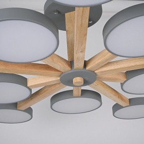 Люстра на штанге Imperiumloft TURNA Gray TURNA-B01 в Нытве - nytva.ok-mebel.com | фото 10