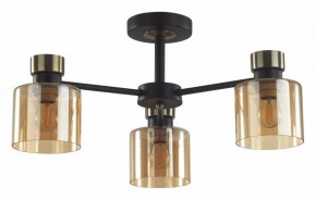 Люстра на штанге Lumion ARLIN 5643/3C в Нытве - nytva.ok-mebel.com | фото