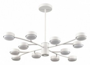 Люстра на штанге Lumion TORINA 8265/12 в Нытве - nytva.ok-mebel.com | фото
