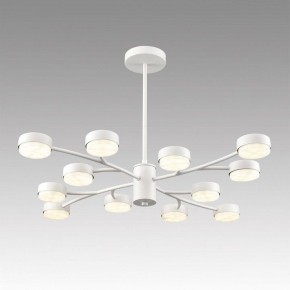 Люстра на штанге Lumion TORINA 8265/12 в Нытве - nytva.ok-mebel.com | фото 3