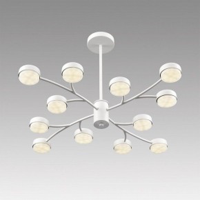 Люстра на штанге Lumion TORINA 8265/12 в Нытве - nytva.ok-mebel.com | фото 5