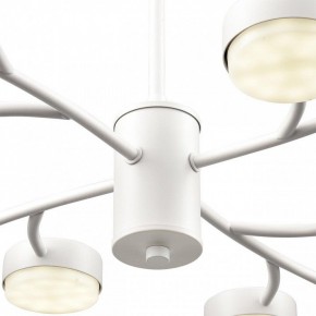 Люстра на штанге Lumion TORINA 8265/12 в Нытве - nytva.ok-mebel.com | фото 8