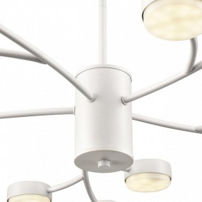 Люстра на штанге Lumion TORINA 8265/15 в Нытве - nytva.ok-mebel.com | фото 8