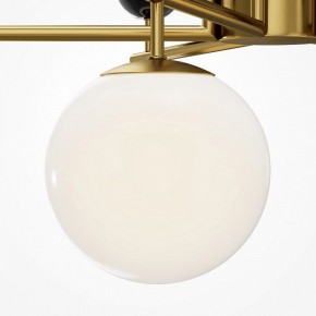 Люстра на штанге Maytoni Museo MOD436PL-07BS в Нытве - nytva.ok-mebel.com | фото 4