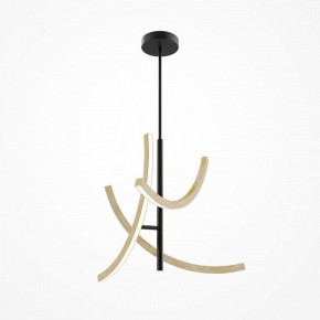 Люстра на штанге Maytoni Wabi MOD428PL-L27BK в Нытве - nytva.ok-mebel.com | фото 5