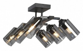 Люстра на штанге Vitaluce V2833 V2833-1/6PL в Нытве - nytva.ok-mebel.com | фото
