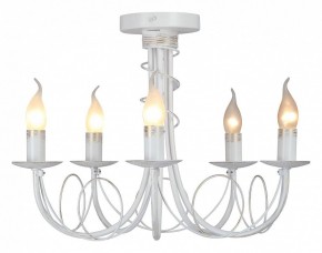 Люстра на штанге Vitaluce V3035 V3035-0/5PL в Нытве - nytva.ok-mebel.com | фото 2