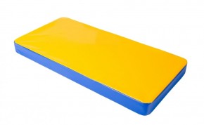 Мат гимнастический 1х0,5х0,08м цв. синий-желтый в Нытве - nytva.ok-mebel.com | фото 1