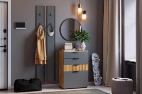 МЕБЕЛЬСОН К21 Прихожая  (графит) в Нытве - nytva.ok-mebel.com | фото