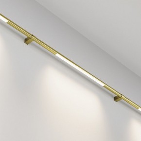 Модульный светильник Maytoni Basis C100CL-L500-12W3-6K-BS в Нытве - nytva.ok-mebel.com | фото 2