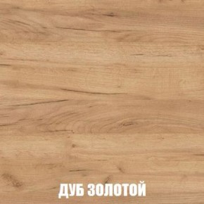 МСП-1 Шкаф 2-х створчатый (Дуб Золотой/Камень темный) в Нытве - nytva.ok-mebel.com | фото 4