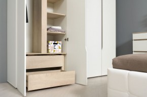 Муссон Шкаф двухстворчатый 13.198 в Нытве - nytva.ok-mebel.com | фото 3